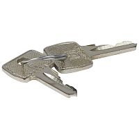 Аксессуары для автоматического запирания - набор из 2-х ключей 2433 A | код 036545 |  Legrand